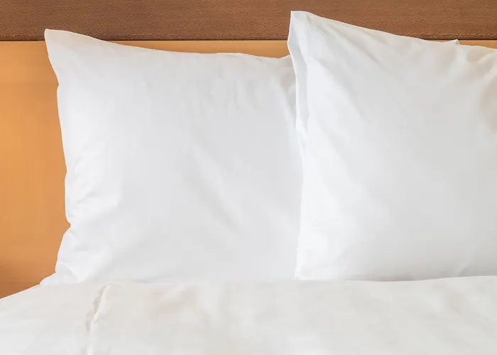 Holiday Inn Lafayette-City Centre By Ihg